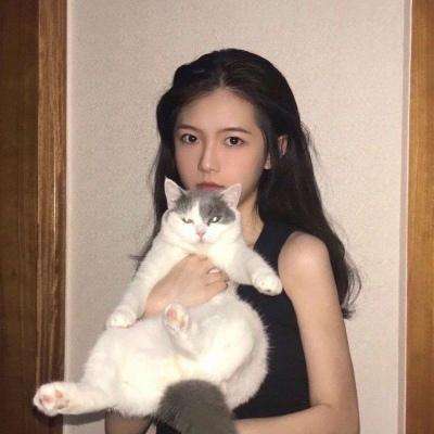 放三国正版游戏下载